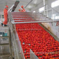 Línea de producción de tomate rojo Ketchup Sachet Línea de relleno